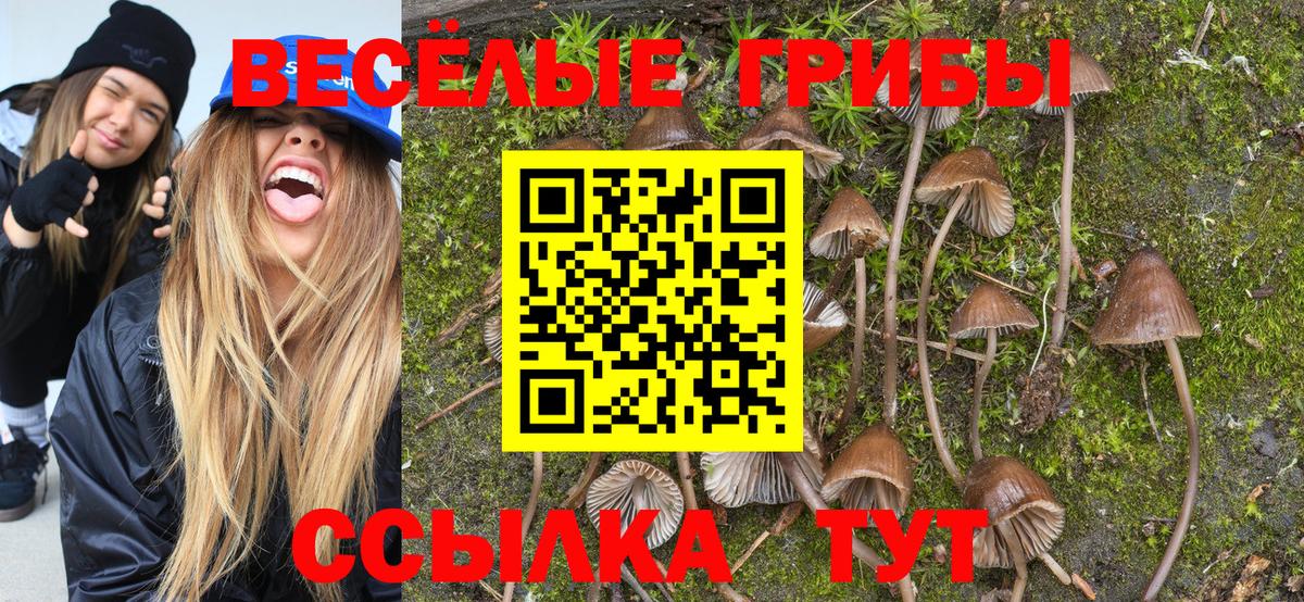 Гулькевичи  Галлюциногенные грибы MAGIC MUSHROOMS  Вход с VPN 